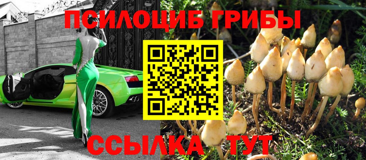 Димитровград  Галлюциногенные грибы мухоморы  Вход с VPN  как найти наркотики  Галлюциногенные грибы Psilocybe 