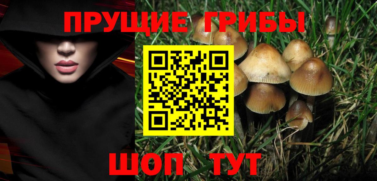 Галлюциногенные грибы прущие грибы Димитровград